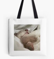 Gabriel Siamese Cat All Paws Tote Bag