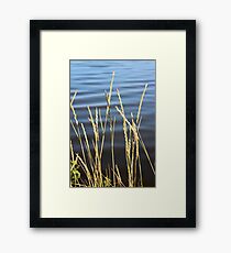 Blue seas and yellow grasses Framed Print