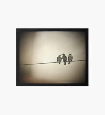 Three Little Birds Art Board
