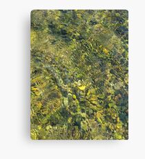 River bottom Canvas Print