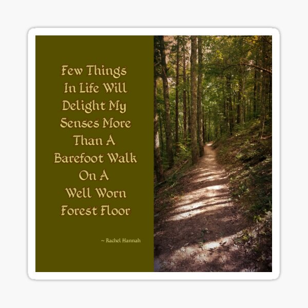 Barefoot Quote Sticker