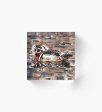 Duck Acrylic Block