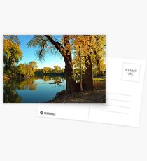 Autumn Delight (001) Postcards