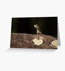 Baby Dragon Greeting Card