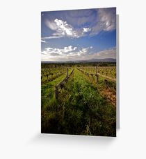 What's old is new again - non-irrigated old vines at Yarra Yerring Greeting Card