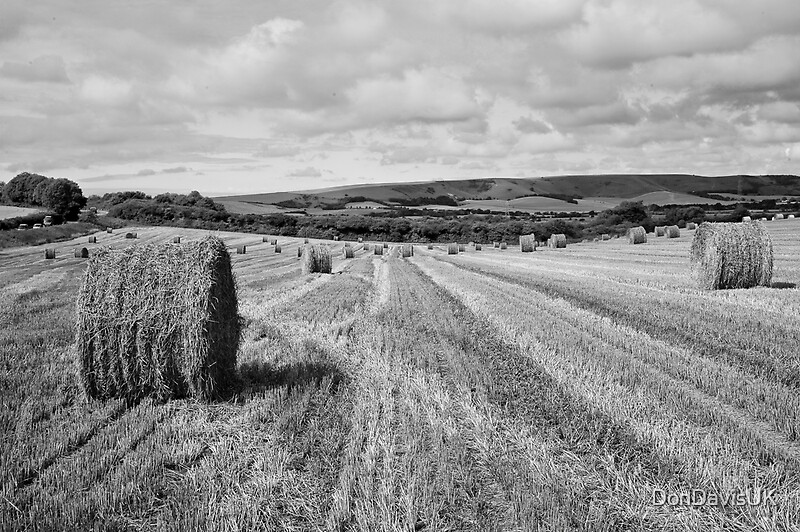 hay-bales-black-and-white-by-dondavisuk-redbubble