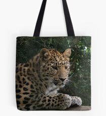 Amur Leopard Tote Bag