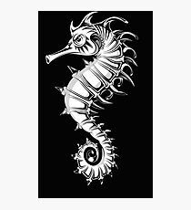 Sea horse black and white Photographic Print