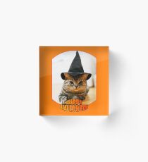 Happy Halloween with Wizard Cat Acrylic Block