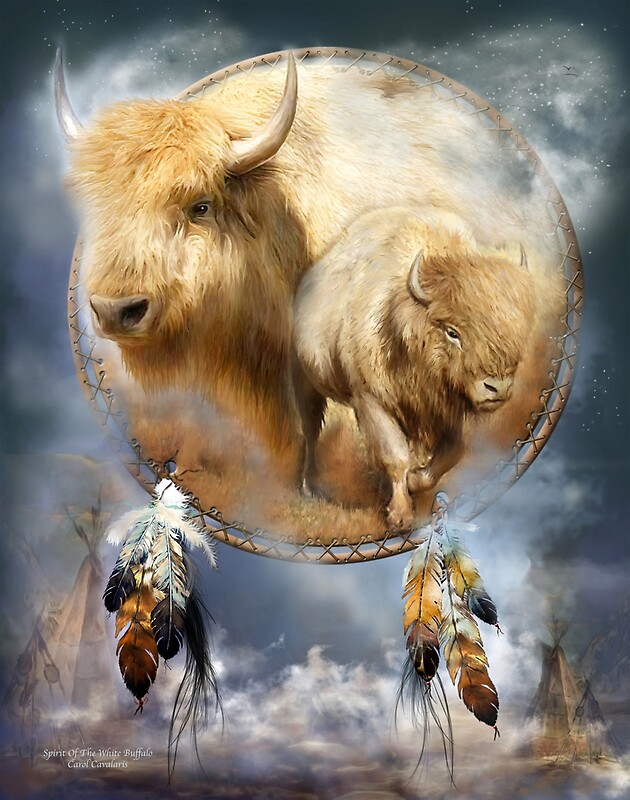 "Dream Catcher Spirit Of The White Buffalo" by Carol Cavalaris