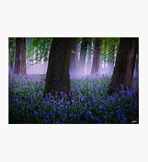 Am I dreaming? Photographic Print