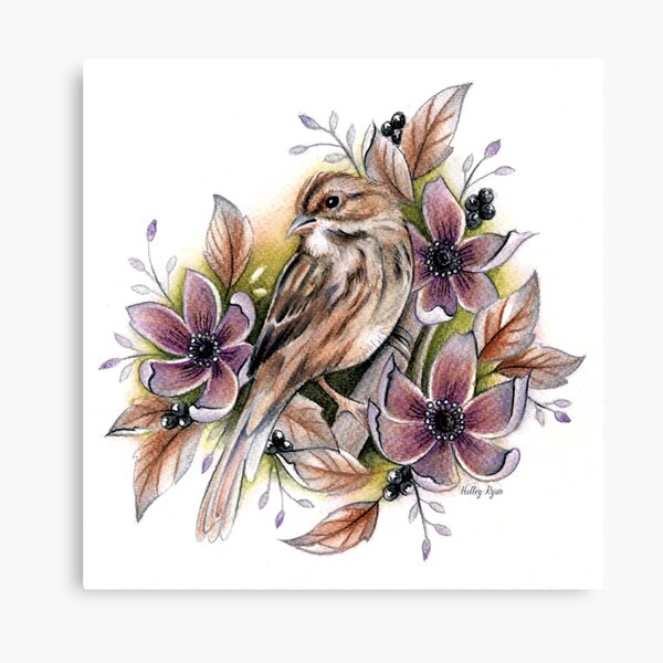 Sparrow Canvas Print