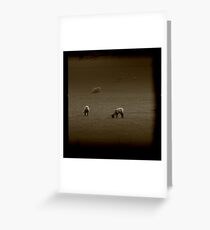 Spring Greeting Card