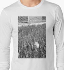 American Pastime Long Sleeve T-Shirt