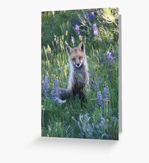 Fox sitting Greeting Card