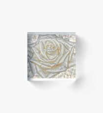 Rose; All Dressed Up Acrylic Block