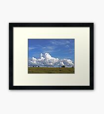The Life of a Cow Framed Print