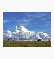The Life of a Cow Photographic Print