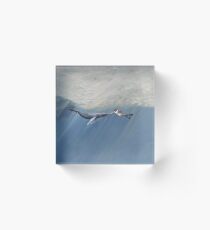 The Creation of Adam the Whale Acrylic Block