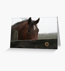 Curiousity Greeting Card