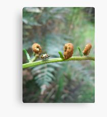 Crusin' Canvas Print