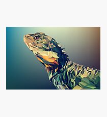 iguana digital drawing Photographic Print