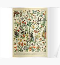 flower pattern Poster