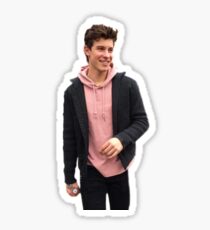 Pink shawn Sticker
