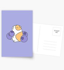 Guinea pig and blueberry Postcards