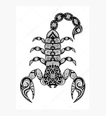 scorpio Photographic Print