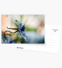 Outreach Postcards