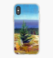 Lake Michigan Coast iPhone Case