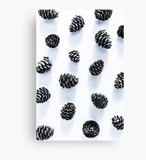 Pine Cones Canvas Print