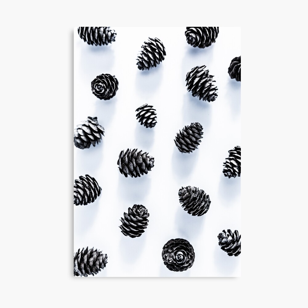 Pine Cones Canvas Print