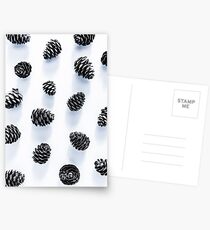 Pine Cones Postcards