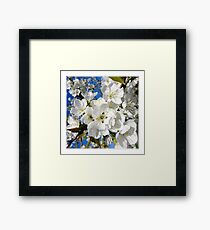 Quelques fleurs de cerisier... Framed Print