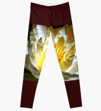 White waterlily (Nymphaea odorata rosea) Leggings