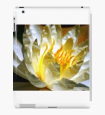 White waterlily (Nymphaea odorata rosea) iPad Case/Skin