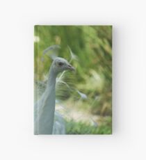 White Peacock close up Hardcover Journal