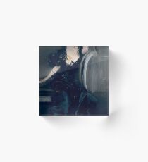 "Lady Colin Campbell" -Giovanni Boldini(1897) Acrylic Block