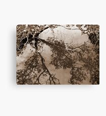 Mangroves Canvas Print