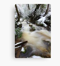 Winter at Crator Creek, Cradle Mountain National Park, Tasmania, Australia Canvas Print
