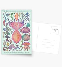 Marine Creatures IV Postcards