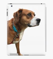 Winnie iPad Case/Skin