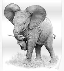 Cute Elephant sketch Poster