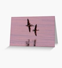 Fly-Past Greeting Card