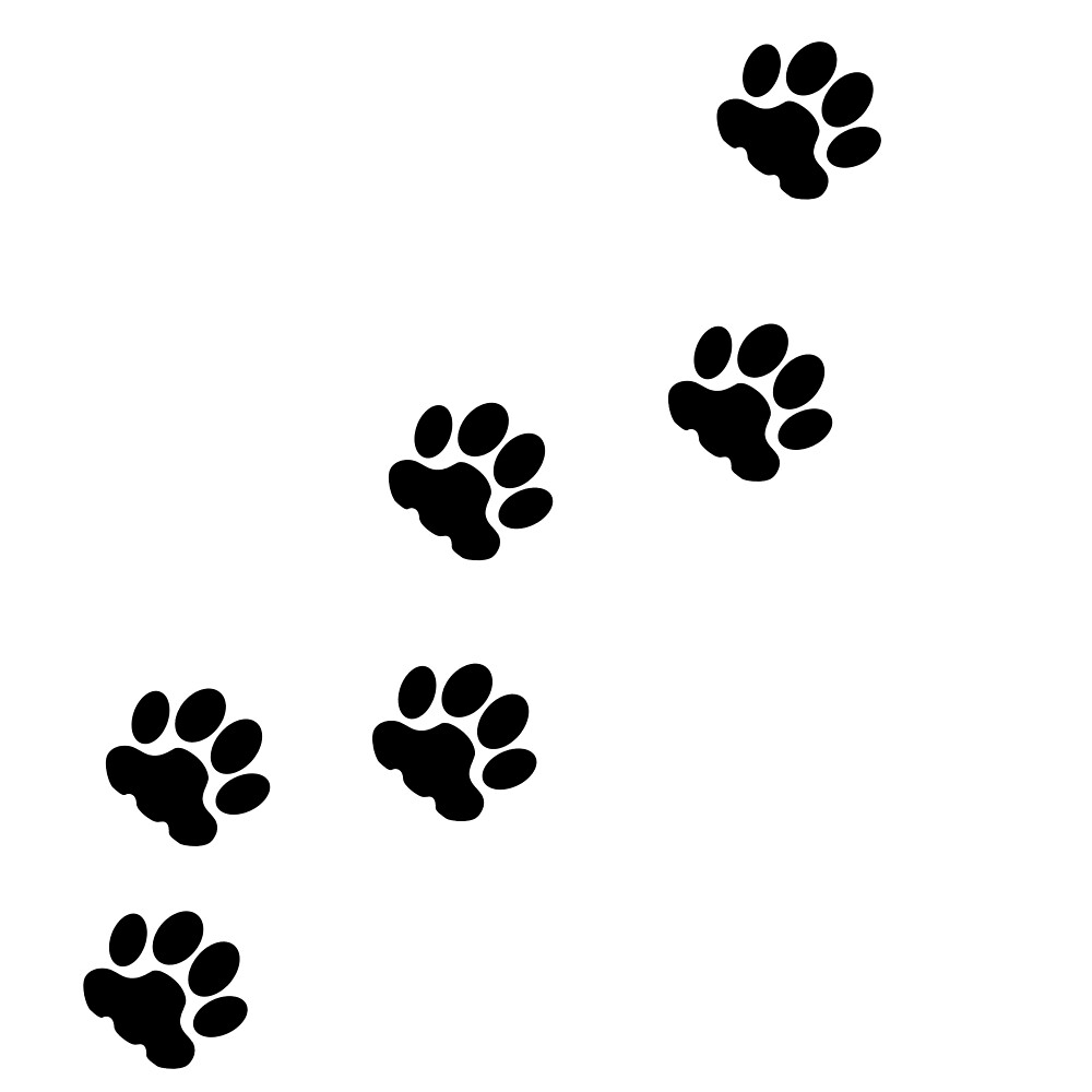 Cat Prints: A Pawsome Guide to Deciphering Your Feline's Footsteps