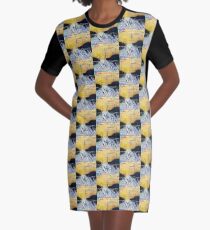 St. Anthony Speaks to the Sardines Graphic T-Shirt Dress