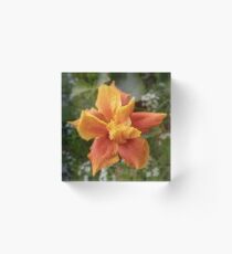 Orange Hibiscus Acrylic Block