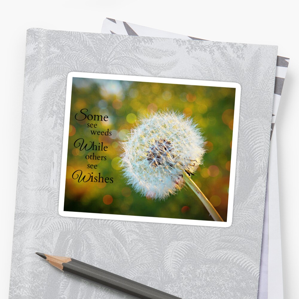 "Dandelion Inspirational, Some See Weeds While Others See Wishes